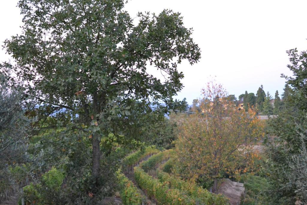 Agriturismo Costa Dei Platani 阿奎泰尔梅 外观 照片
