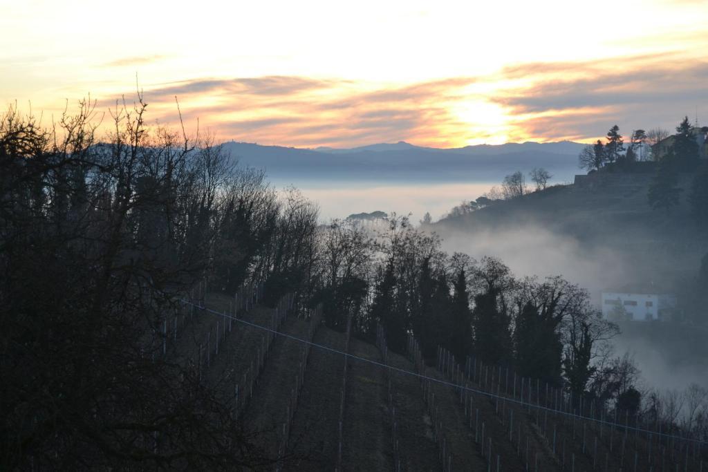 Agriturismo Costa Dei Platani 阿奎泰尔梅 外观 照片