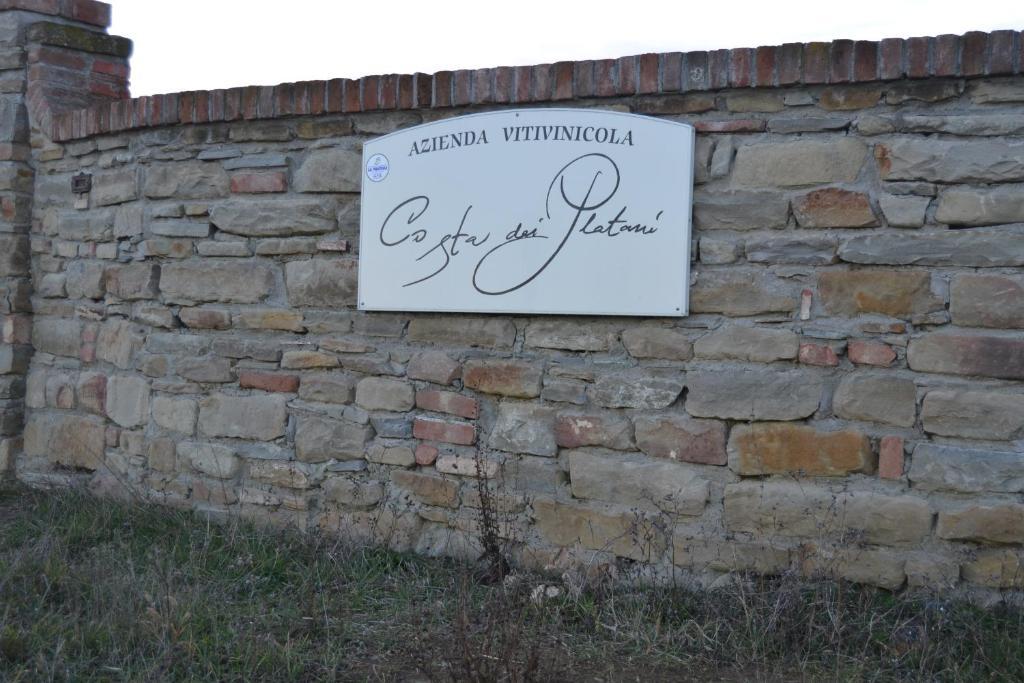 Agriturismo Costa Dei Platani 阿奎泰尔梅 外观 照片