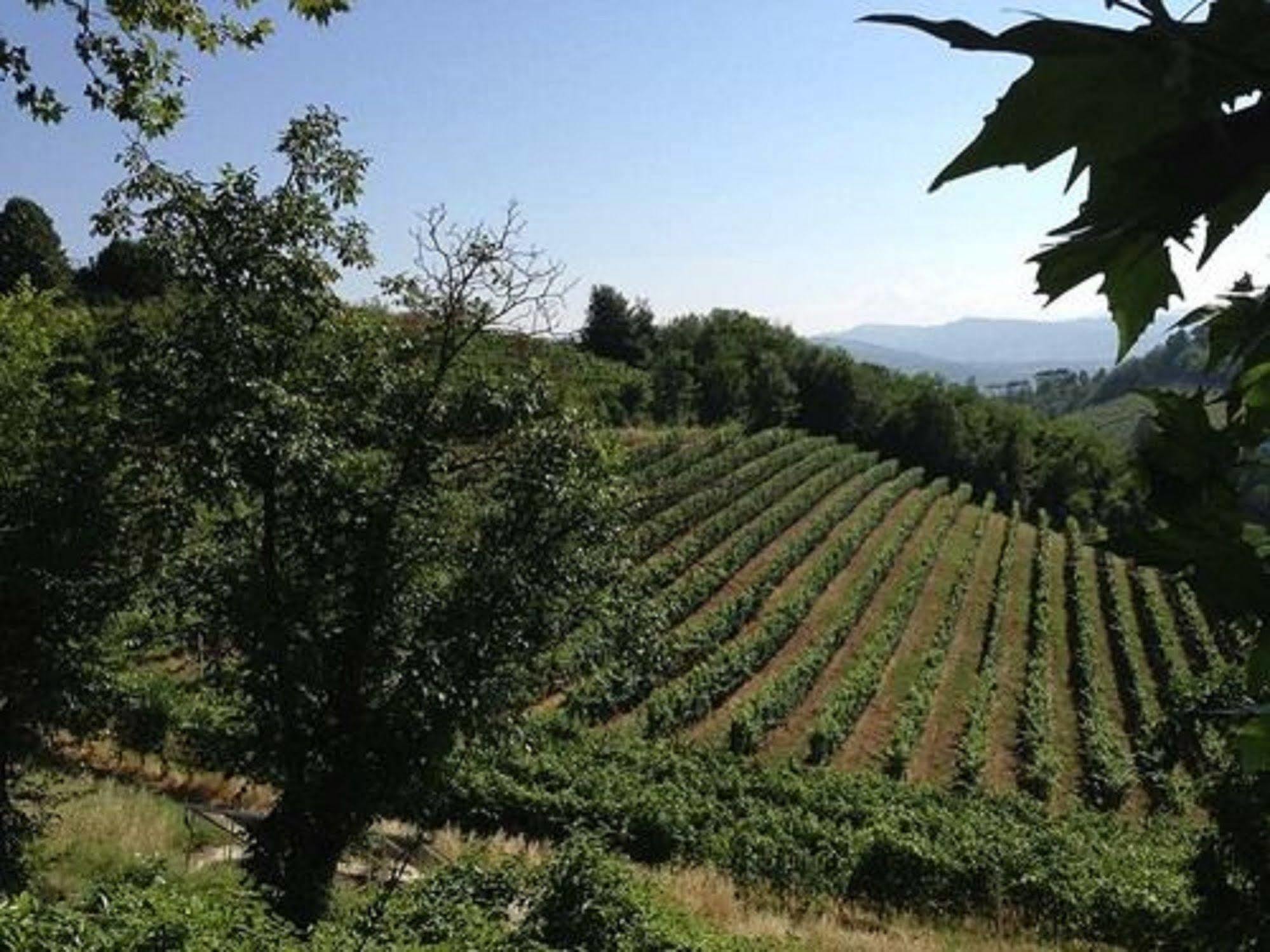 Agriturismo Costa Dei Platani 阿奎泰尔梅 外观 照片