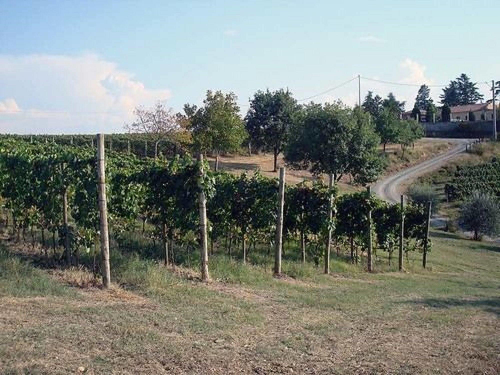 Agriturismo Costa Dei Platani 阿奎泰尔梅 外观 照片