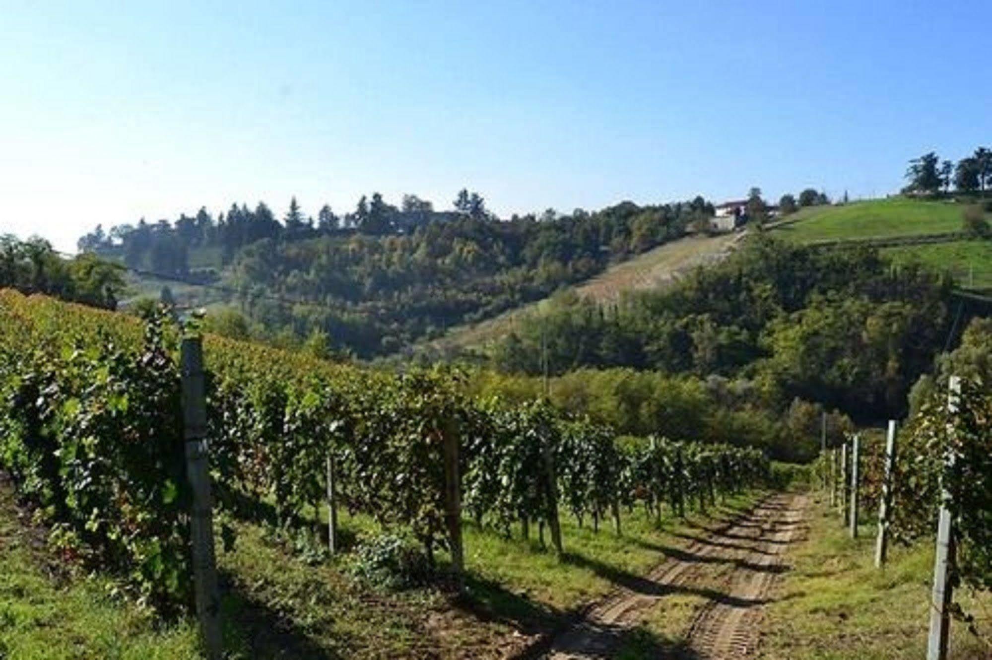 Agriturismo Costa Dei Platani 阿奎泰尔梅 外观 照片
