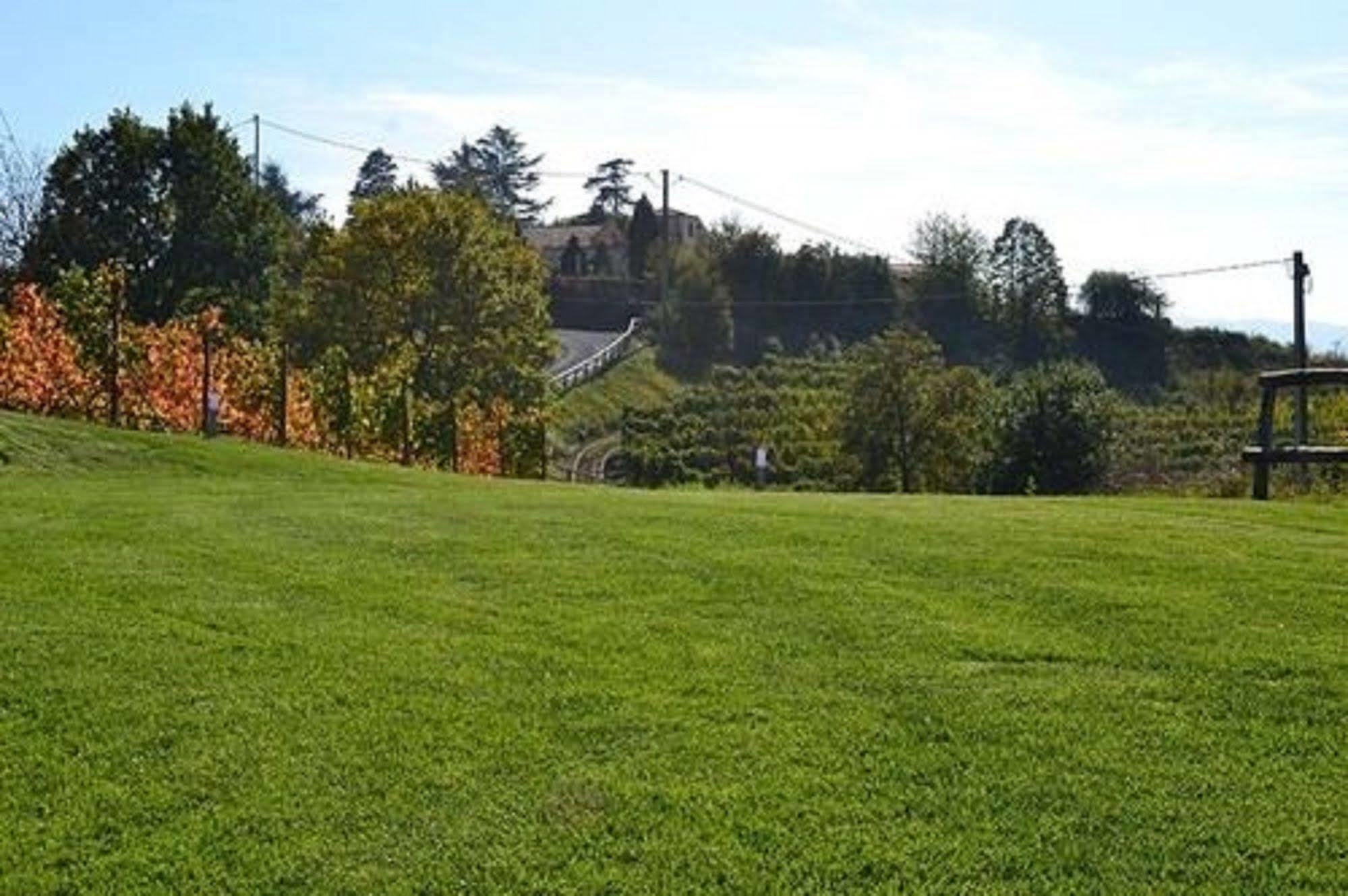 Agriturismo Costa Dei Platani 阿奎泰尔梅 外观 照片