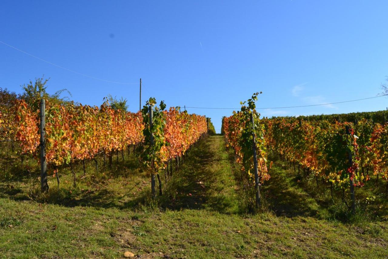 Agriturismo Costa Dei Platani 阿奎泰尔梅 外观 照片